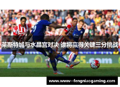莱斯特城与水晶宫对决 谁将赢得关键三分挑战