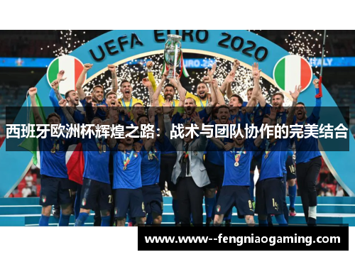 西班牙欧洲杯辉煌之路：战术与团队协作的完美结合