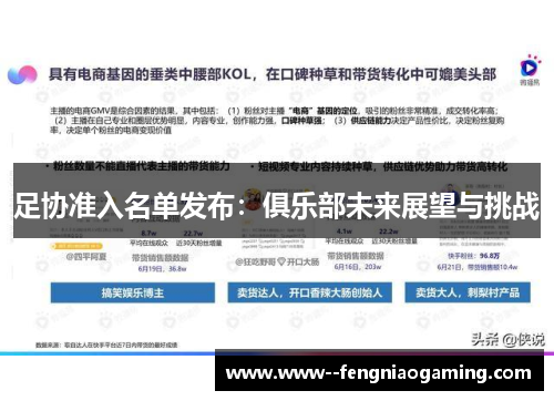 足协准入名单发布:俱乐部未来展望与挑战 足协准入名单发布:俱乐部未来展望与挑战