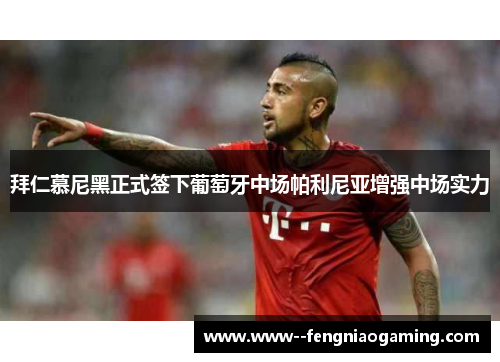 拜仁慕尼黑正式签下葡萄牙中场帕利尼亚增强中场实力