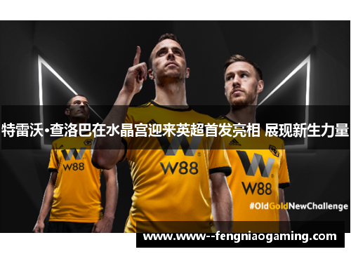 特雷沃·查洛巴在水晶宫迎来英超首发亮相 展现新生力量