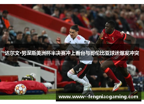 达尔文·努涅斯美洲杯半决赛冲上看台与哥伦比亚球迷爆发冲突 达尔文·努涅斯美洲杯半决赛冲上看台与哥伦比亚球迷爆发冲突