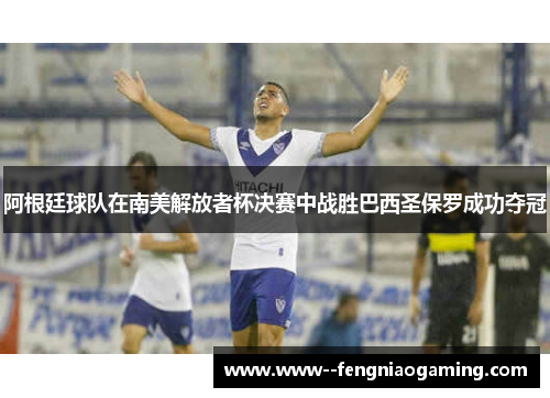 阿根廷球队在南美解放者杯决赛中战胜巴西圣保罗成功夺冠