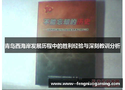 青岛西海岸发展历程中的胜利经验与深刻教训分析