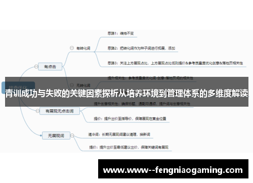青训成功与失败的关键因素探析从培养环境到管理体系的多维度解读