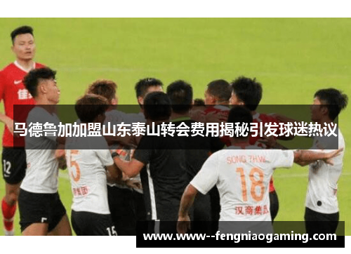 马德鲁加加盟山东泰山转会费用揭秘引发球迷热议