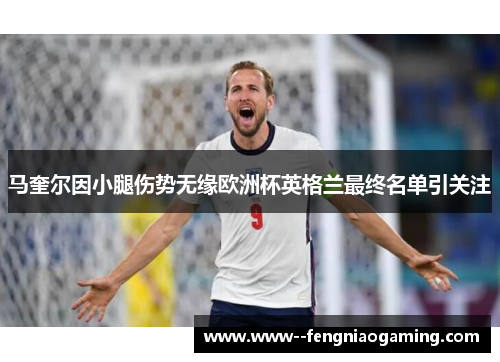 马奎尔因小腿伤势无缘欧洲杯英格兰最终名单引关注