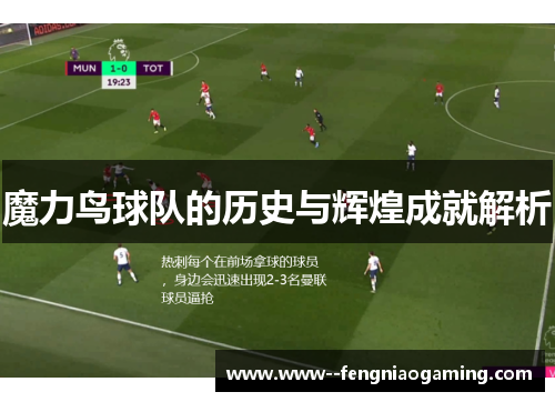 魔力鸟球队的历史与辉煌成就解析 魔力鸟球队的历史与辉煌成就解析