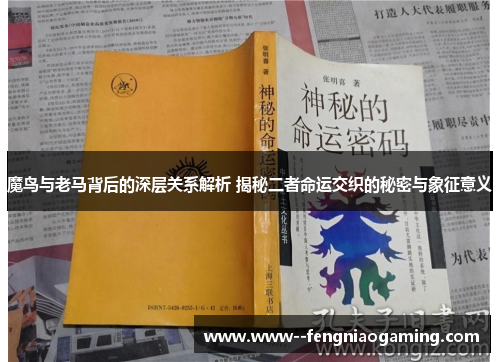 魔鸟与老马背后的深层关系解析 揭秘二者命运交织的秘密与象征意义