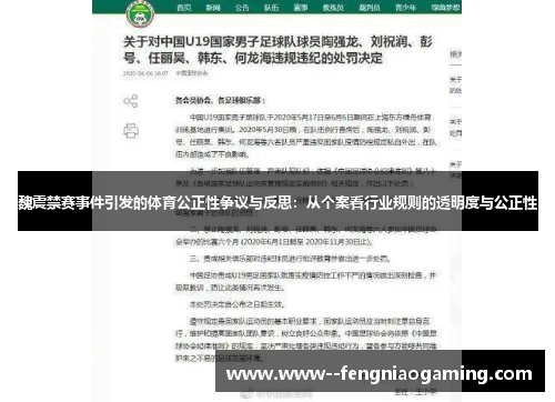 魏震禁赛事件引发的体育公正性争议与反思:从个案看行业规则的透明度与公正性 魏震禁赛事件引发的体育公正性争议与反思:从个案看行业规则的透明度与公正性