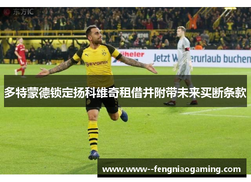 多特蒙德锁定扬科维奇租借并附带未来买断条款