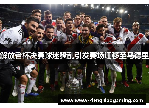 解放者杯决赛球迷骚乱引发赛场迁移至马德里